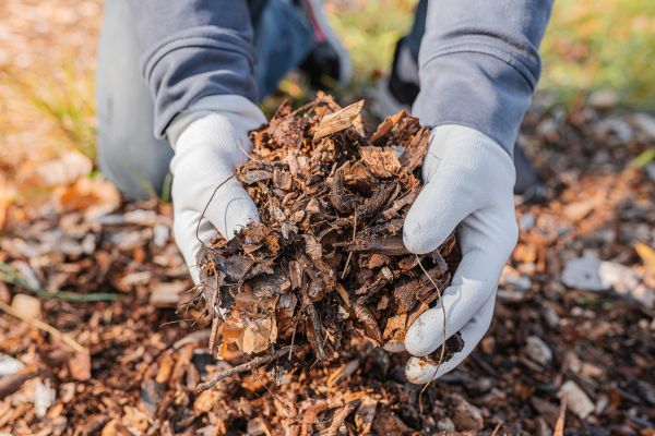 Shredded Mulch Installation in Irvine