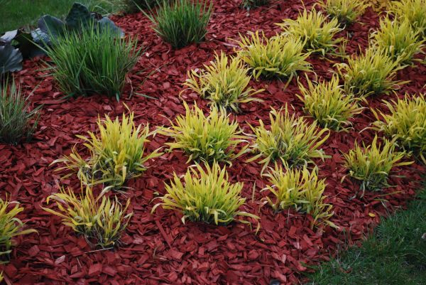 Red Mulch Installation in Irvine