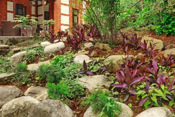 Rock Garden Landscaping in Irvine