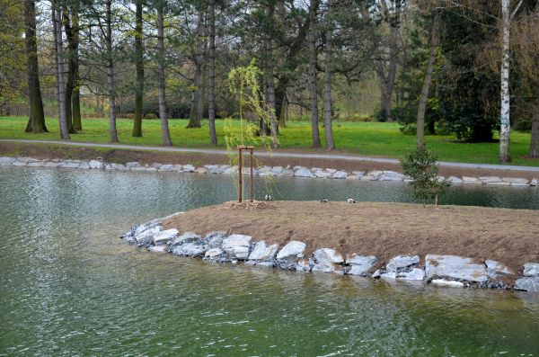 Pond Landscaping Service in Irvine