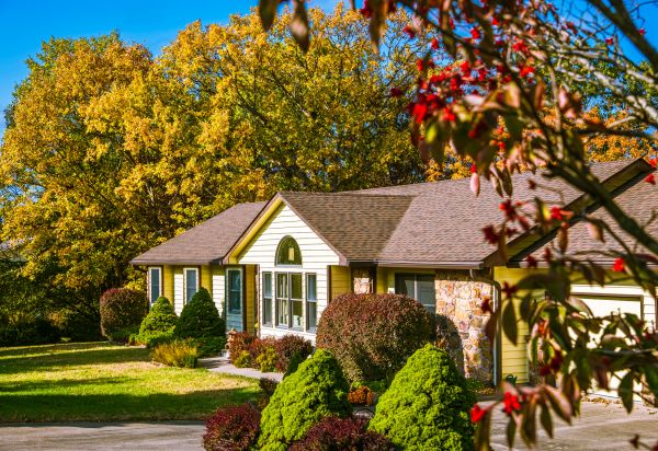 Ranch Landscaping in Irvine