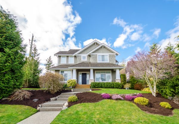 Landscaping Replacement in Irvine