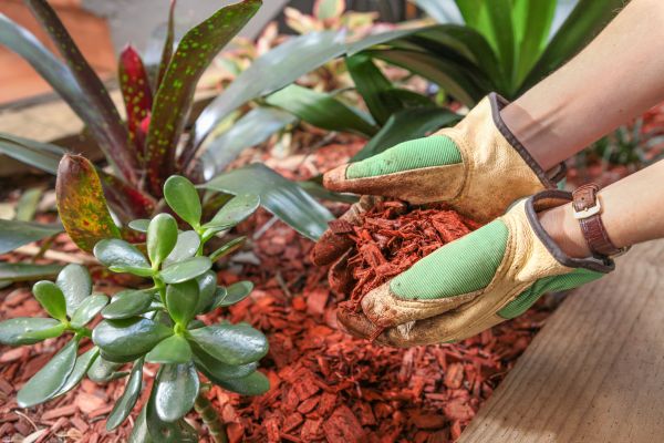 Cedar Mulch Installation in Irvine