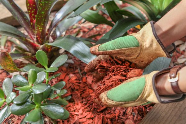 Residential Mulching in Irvine