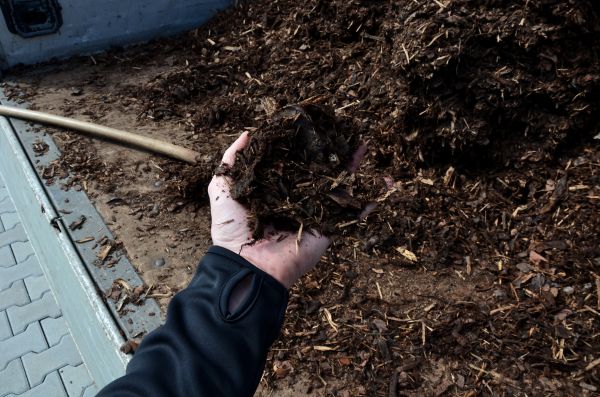 Condo Mulching in Irvine