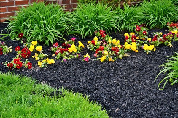 Apartment Mulching in Irvine